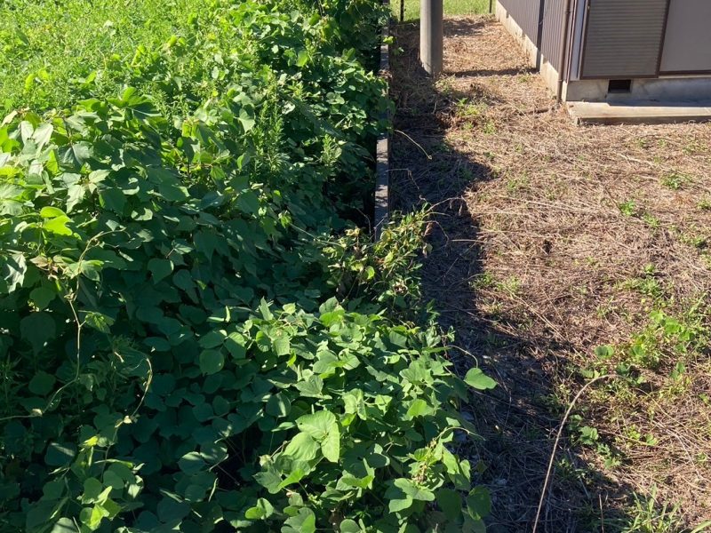 御浜町阿田和　売土地