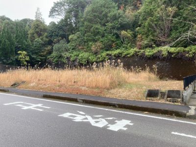 那智勝浦町　売土地